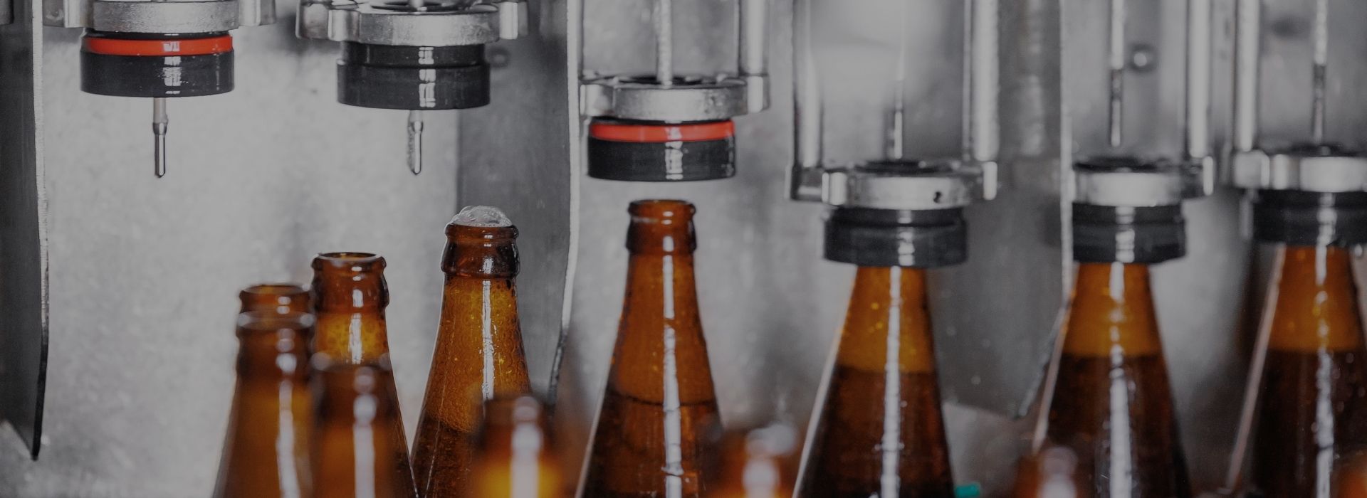 Automatic Capping Machine Manufacturer