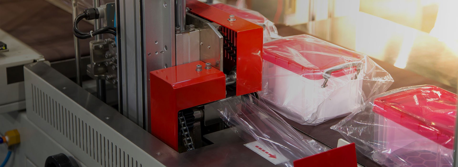 Pillow Packing Machine