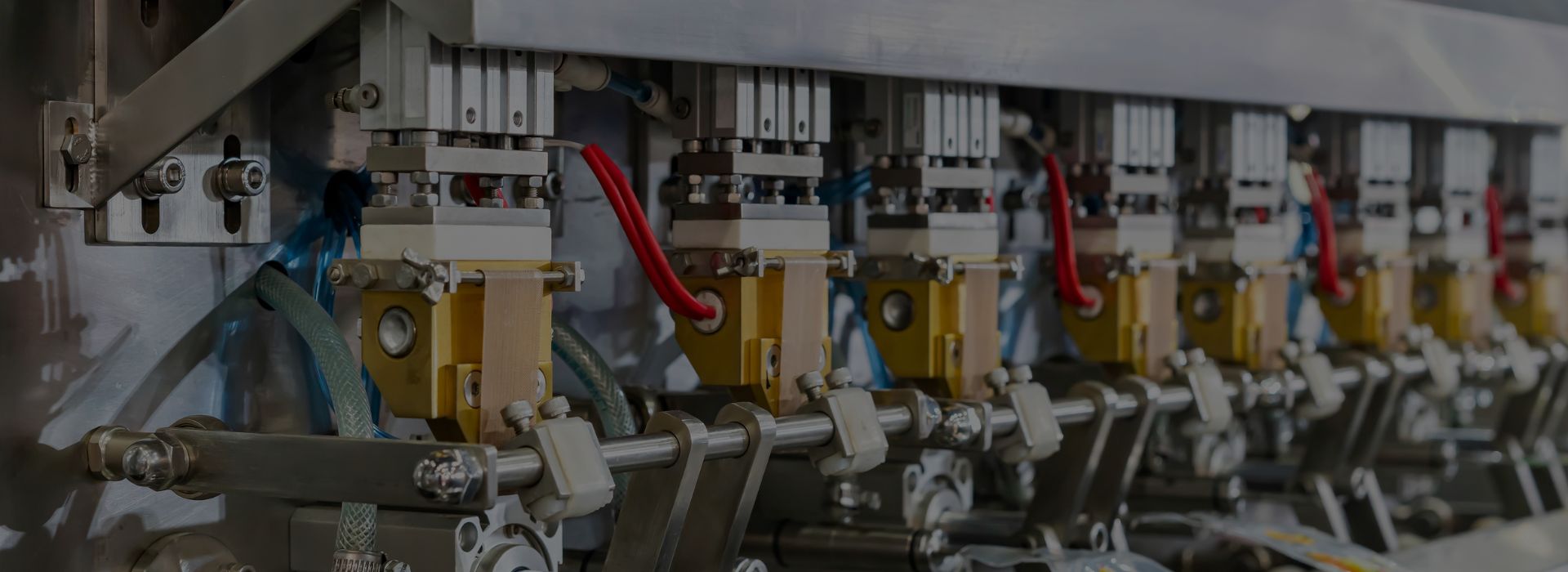 Pouch Filling Machine