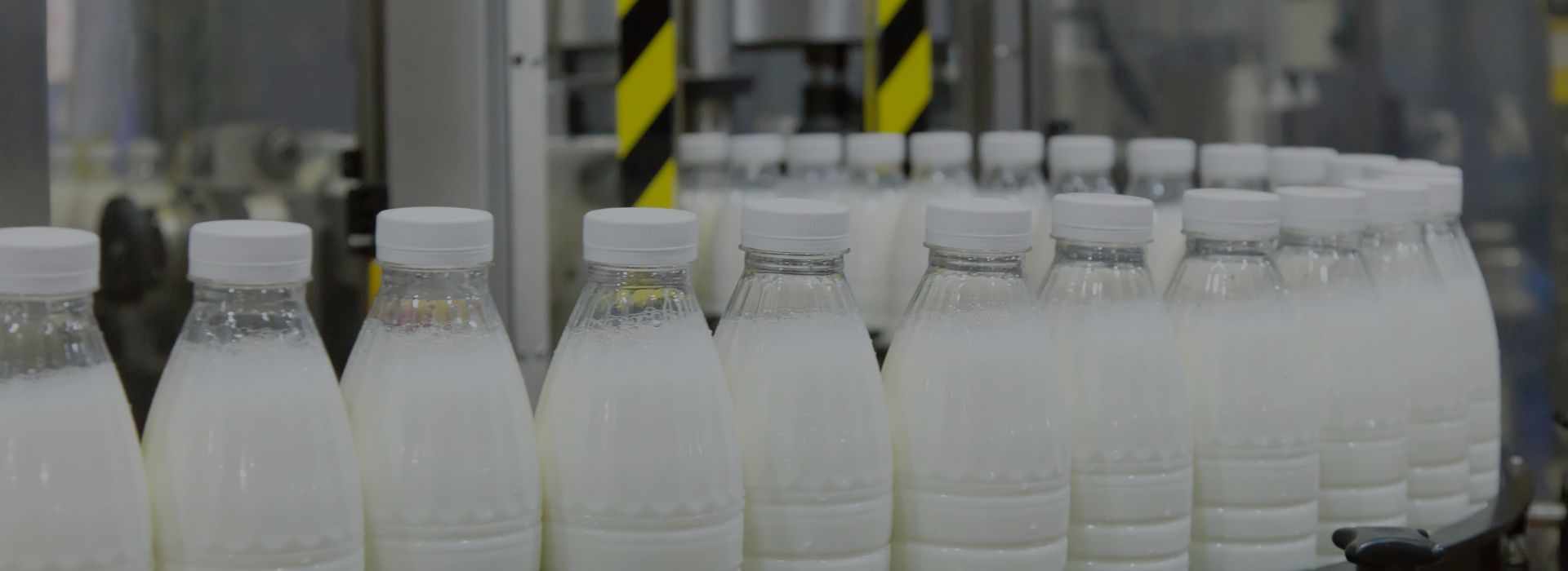 bottle filling machine manufacturer
